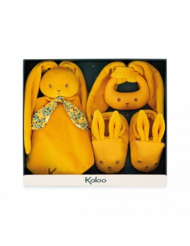 k218011 mon 1er coffret naissance ocre