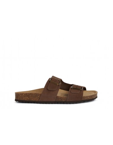 d35lsl brionia 2 brides coffee.