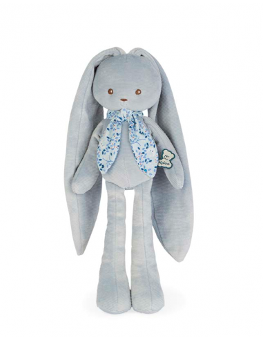 k969944 lapin bleu